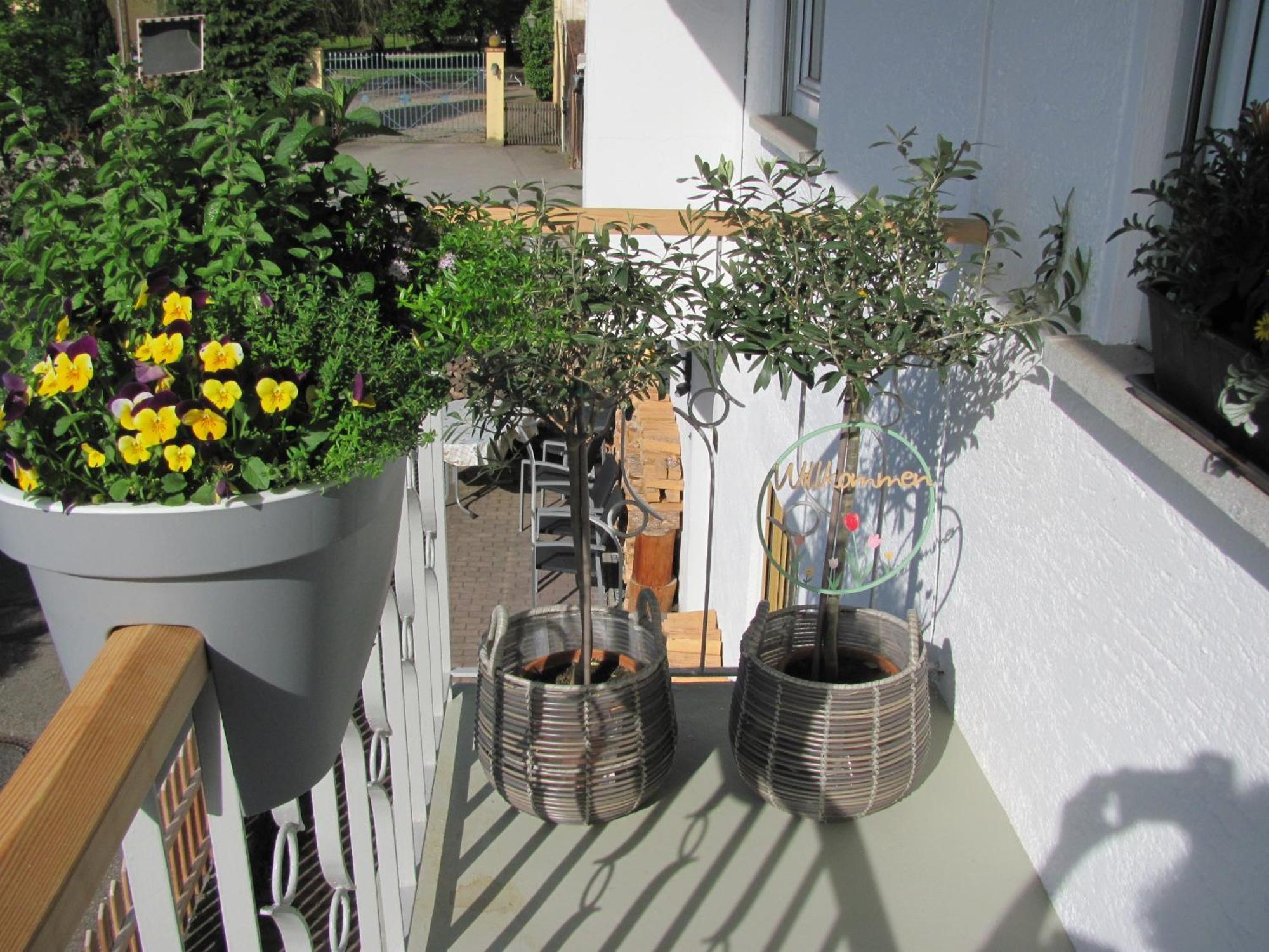 #1Gemuetliches Ruhiges Sonniges Balkonzimmer Mit Gemeinschaftsbad W-Lan Airport Nah Late Night Check In Haus Nr 9,5 Trunkelsberg Exteriér fotografie